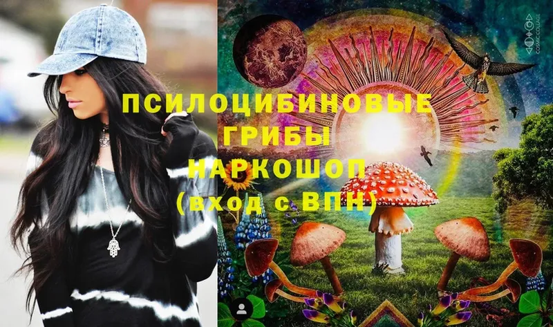 Галлюциногенные грибы Psilocybine cubensis  как найти закладки  Николаевск-на-Амуре 